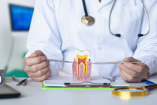 Best Emergency Dentist for Lost Fillings or Crowns in Valley City, ND